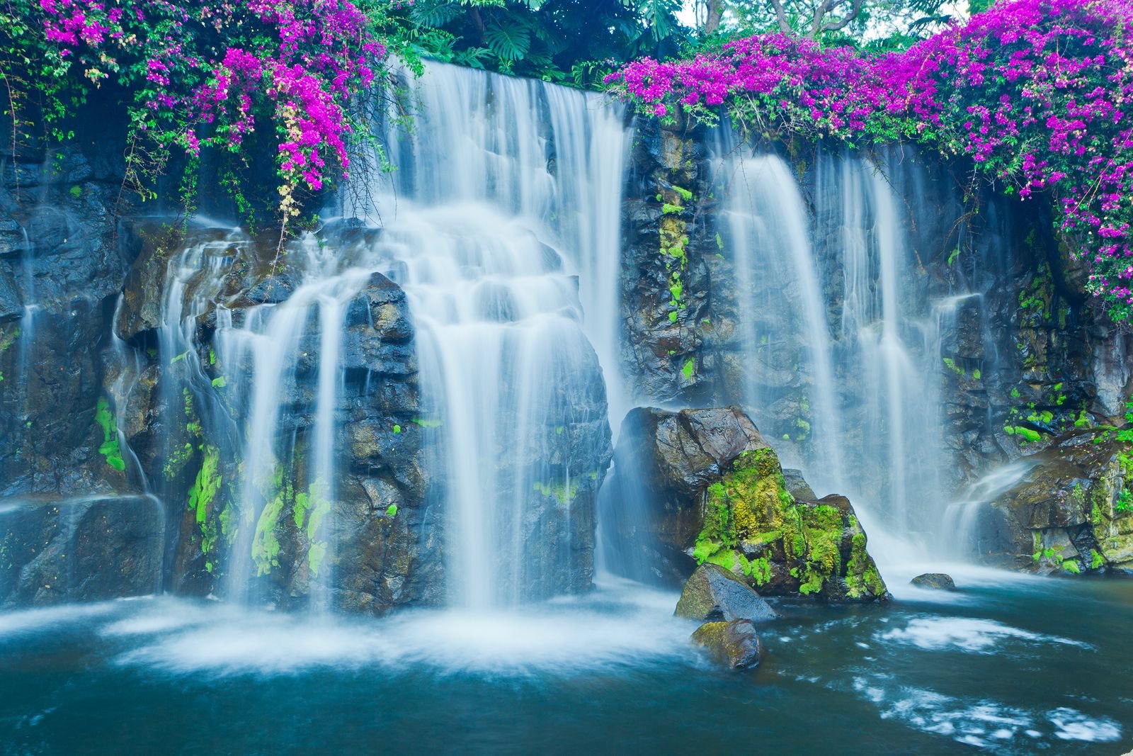 A waterfall of flowers