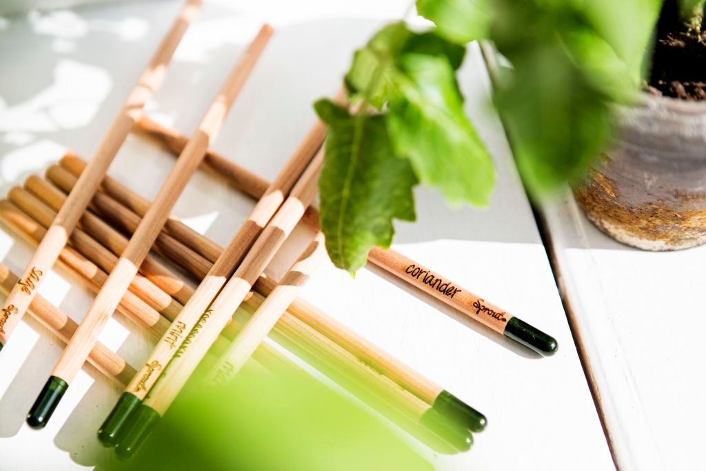 Organic pencil for planting