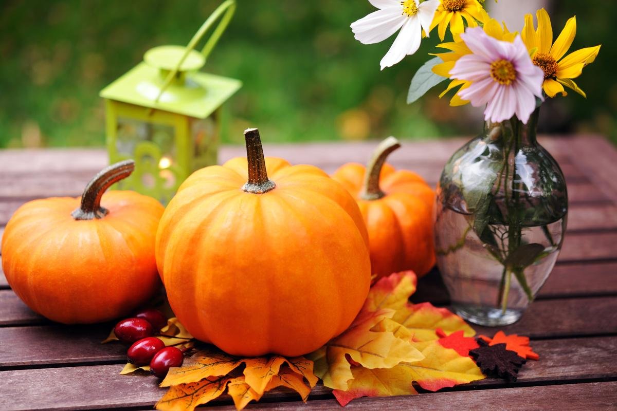 Pumpkins are at the center of autumn decorations