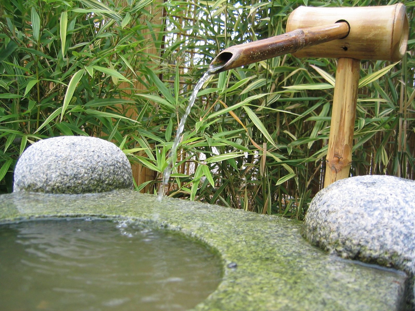 The Japanese garden a true work of art