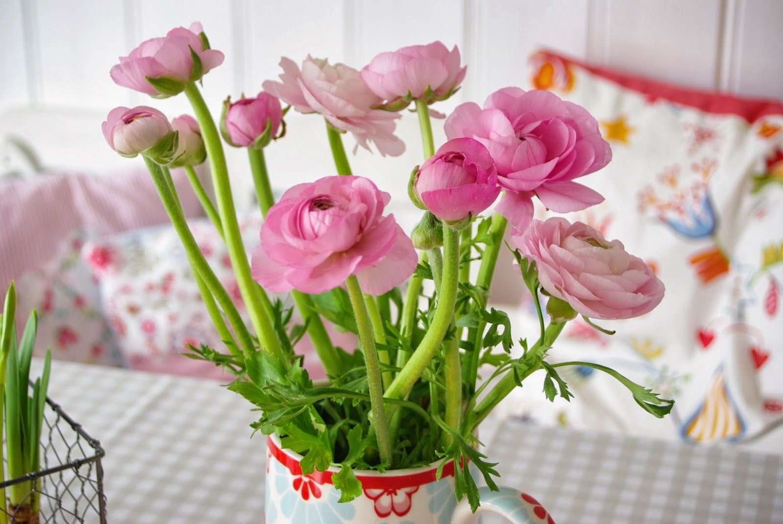 The colorful beauty of ranunculus