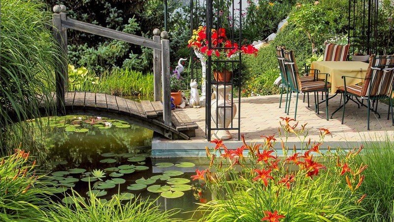 Tips for a clean garden pond the nuts and