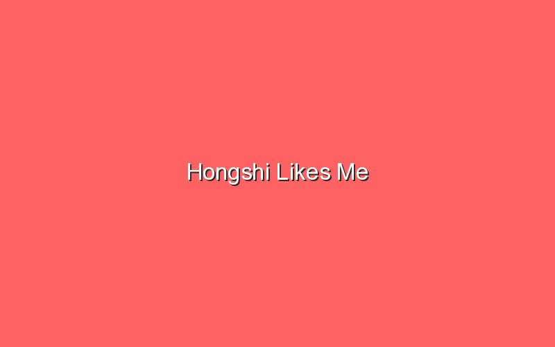 hongshi likes me 18329