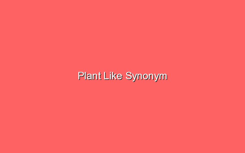 plant like synonym 18038