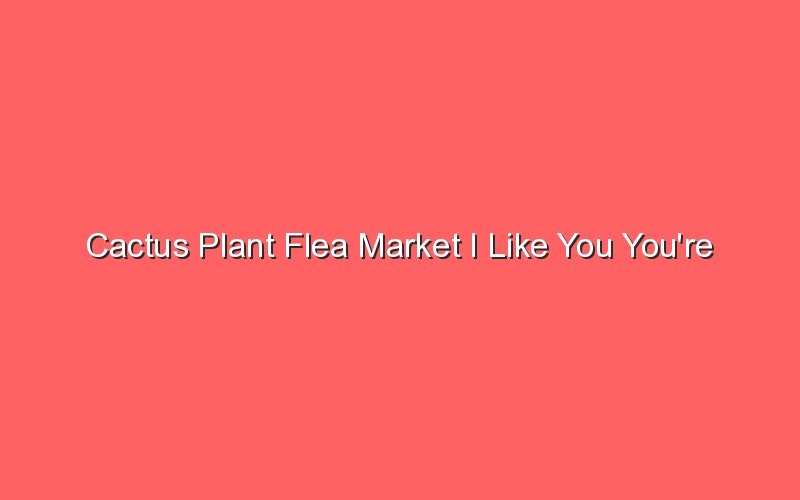 cactus plant flea market i like you youre different 19397 1