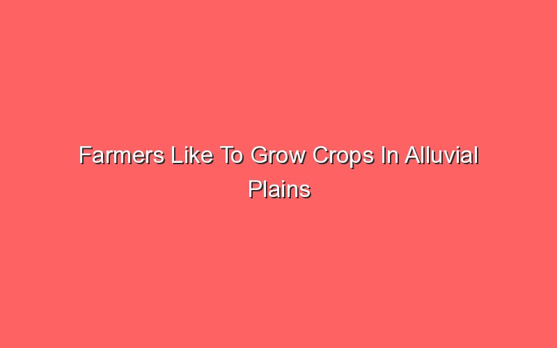 farmers like to grow crops in alluvial plains because 19510 1