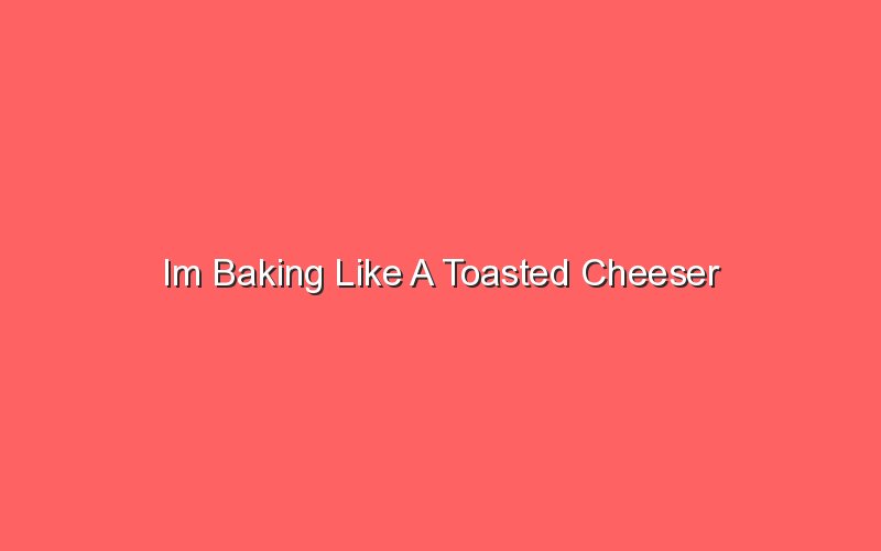 im baking like a toasted cheeser 19831 1