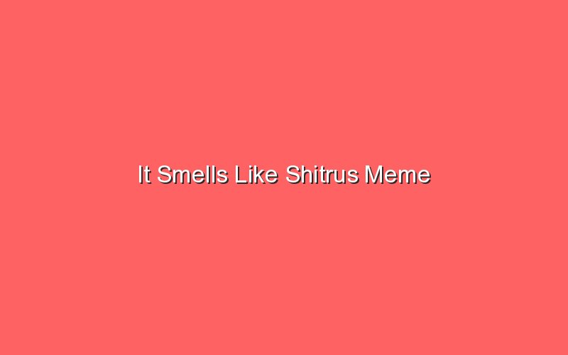 it smells like shitrus meme 19839 1