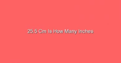 25 5 cm is how many inches 14847