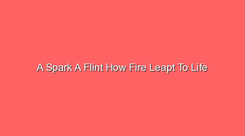 a spark a flint how fire leapt to life 14916