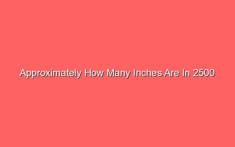 Approximately How Many Inches Are In 2500 Millimeters Sonic Hours