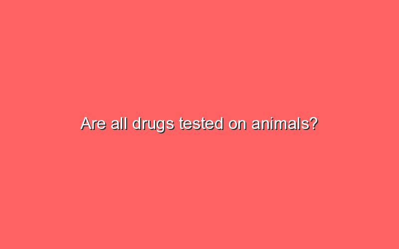 are-all-drugs-tested-on-animals-sonic-hours