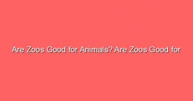 are zoos good for animals are zoos good for animals 8599