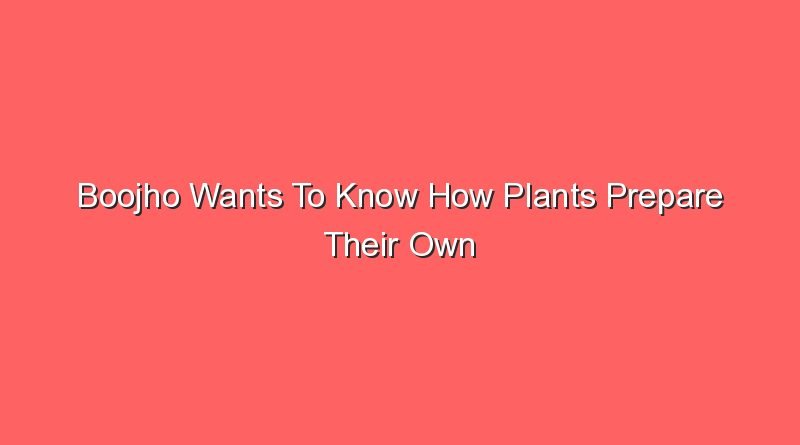 boojho wants to know how plants prepare their own food 14896