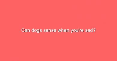 can dogs sense when youre sad 9105