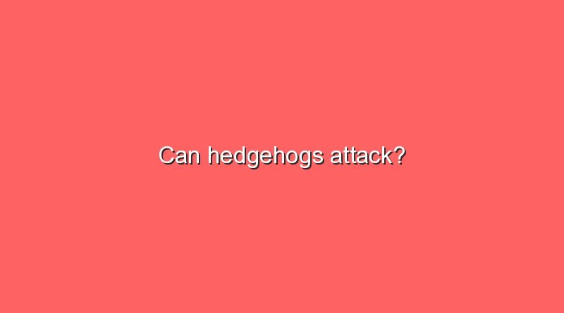 can hedgehogs attack 11389