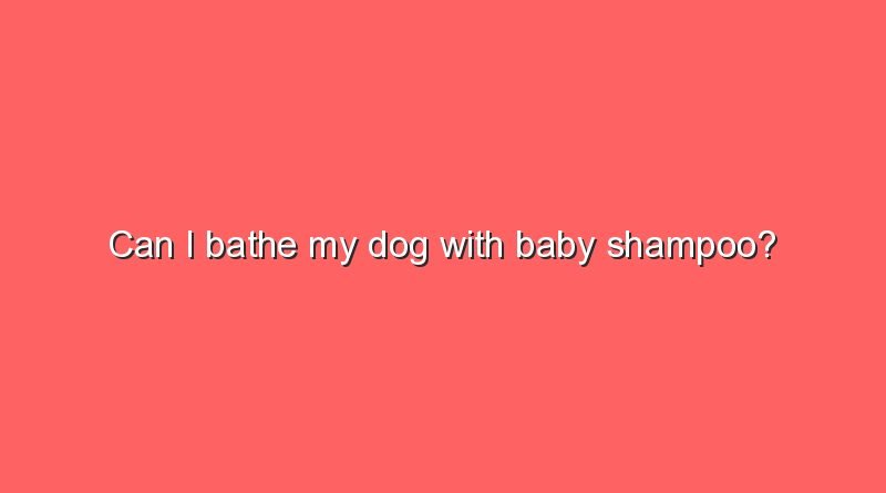 can i bathe my dog with baby shampoo 11430