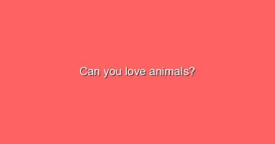 can you love animals 16442