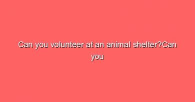 can you volunteer at an animal sheltercan you volunteer at an animal shelter 10468