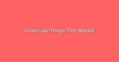 crows like things that sparkle 17785
