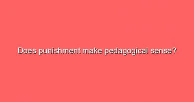 does punishment make pedagogical sense 10169