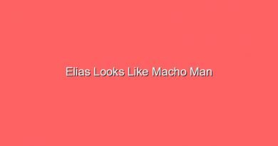 elias looks like macho man 17810