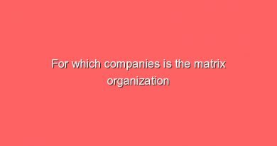 for which companies is the matrix organization recommended 11839