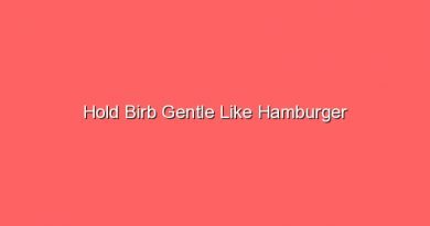 hold birb gentle like hamburger 17469