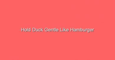 hold duck gentle like hamburger 17141