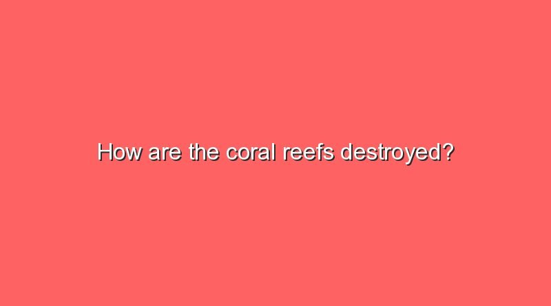 how are the coral reefs destroyed 5531
