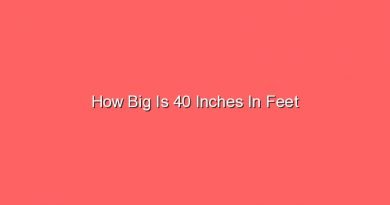 how big is 40 inches in feet 13347