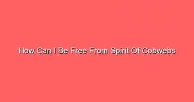 how can i be free from spirit of cobwebs 30578