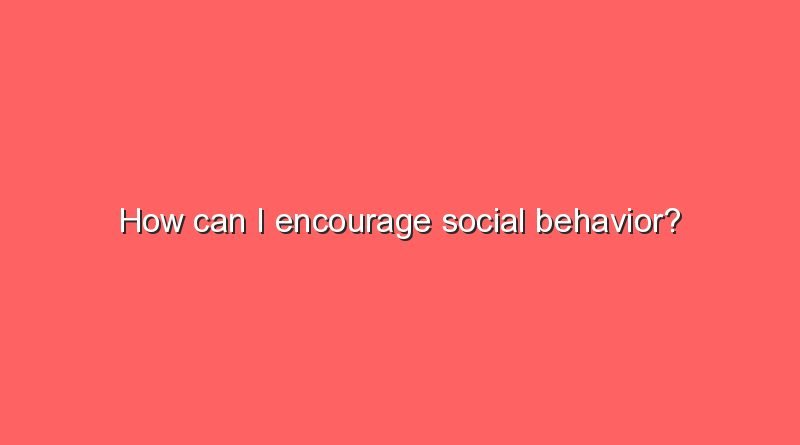 how can i encourage social behavior 8202