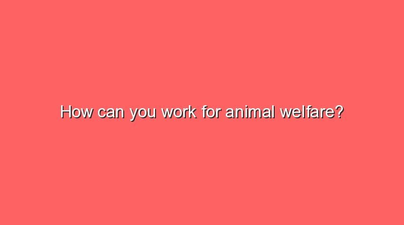 how can you work for animal welfare 10727
