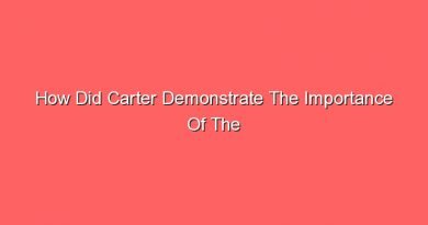 how did carter demonstrate the importance of the energy question 14103