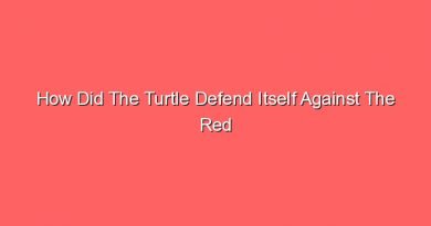 how did the turtle defend itself against the red ant 15070