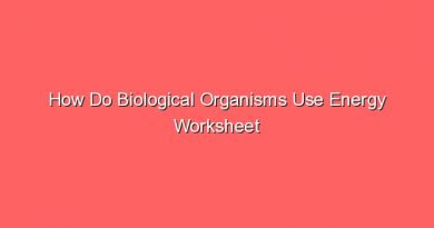 how do biological organisms use energy worksheet answer key 15073
