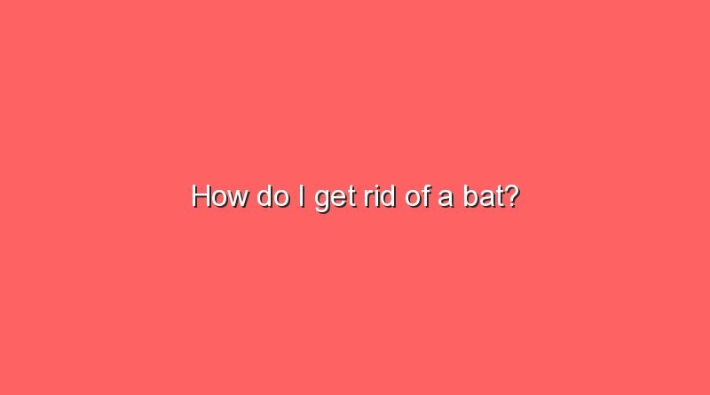 how do i get rid of a bat 5981