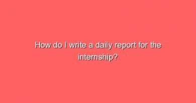 how do i write a daily report for the internship 7838