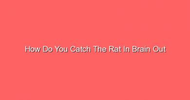 how do you catch the rat in brain out 15117