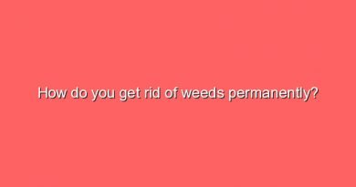 how do you get rid of weeds permanently 5191
