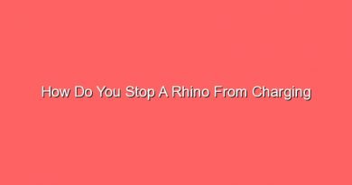 how do you stop a rhino from charging 30868 1