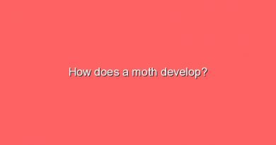 how does a moth develop 5250