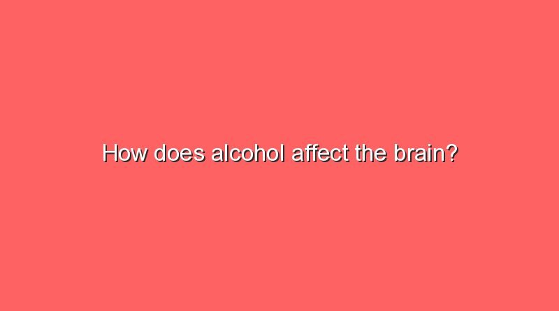 how does alcohol affect the brain 6730