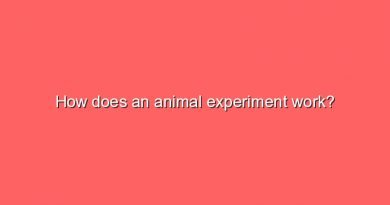 how does an animal experiment work 9336