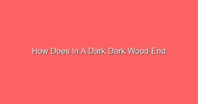 how does in a dark dark wood end 15185