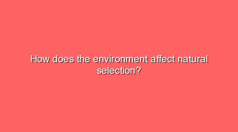 how does the environment affect natural selection 10734