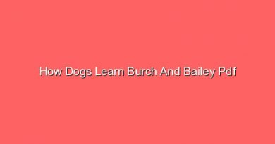 how dogs learn burch and bailey pdf 30923 1