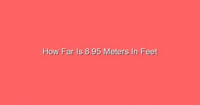 how far is 8 95 meters in feet 15205