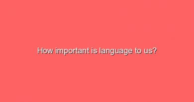 how important is language to us 11607